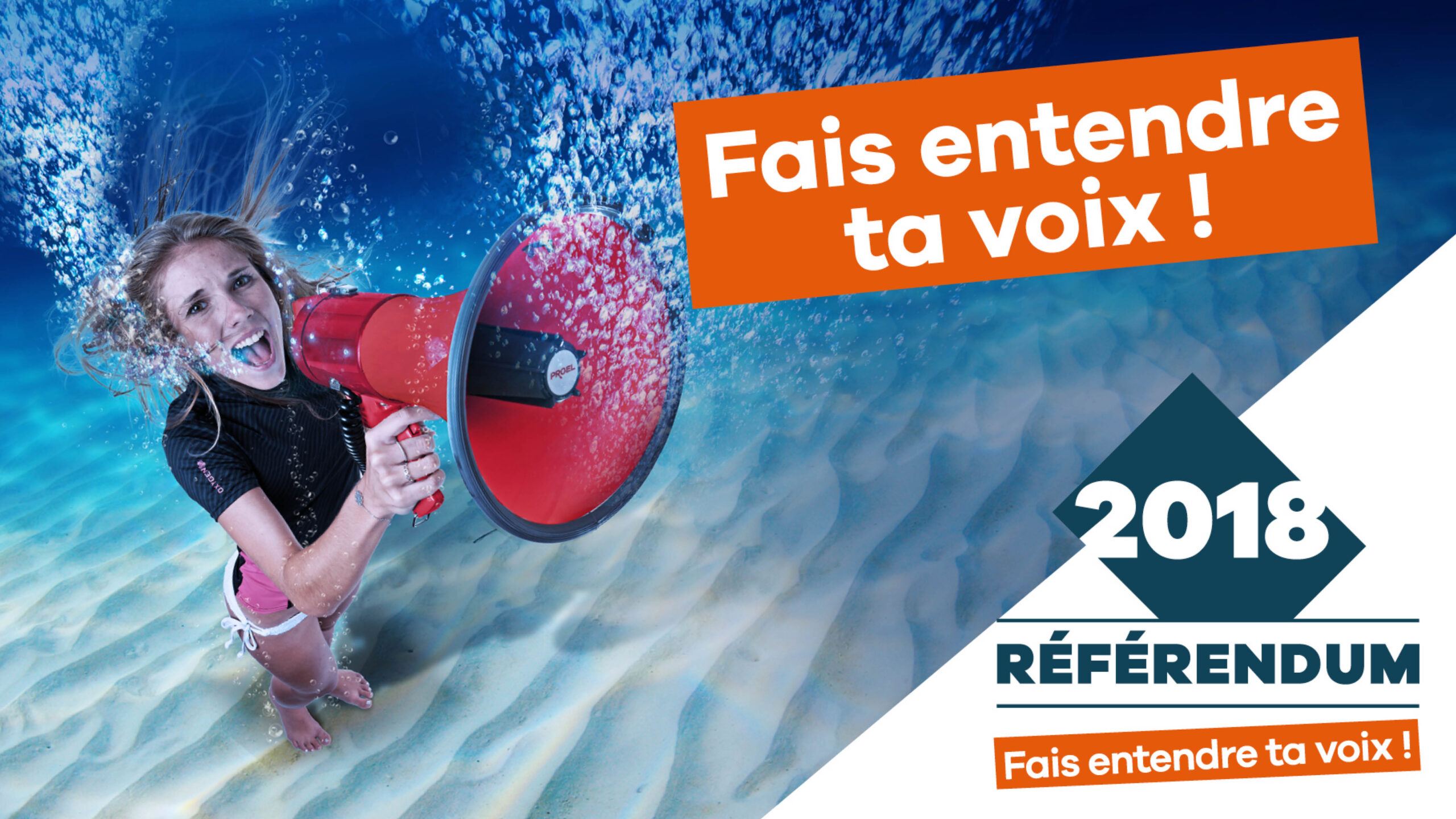 Referendum 2018 – Haussariat